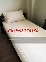 Blk 26 Bendemeer Road (Kallang/Whampoa), HDB 3 Rooms #147647142